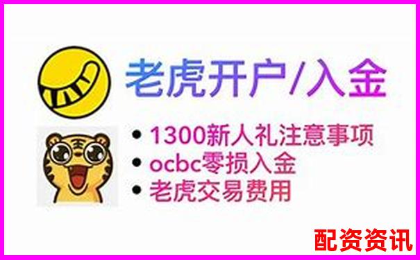 老虎證券杠桿交易操作指南與風險控制要點