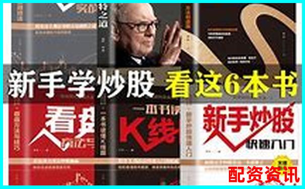 杠桿炒股實戰指南 從入門到精通的操盤技巧