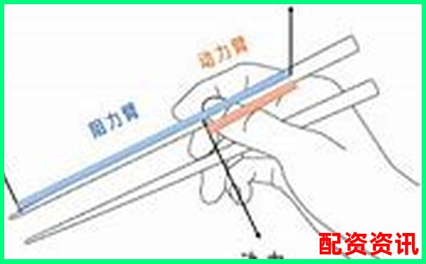 核桃夾杠桿原理解析究竟是費力還是省力工具